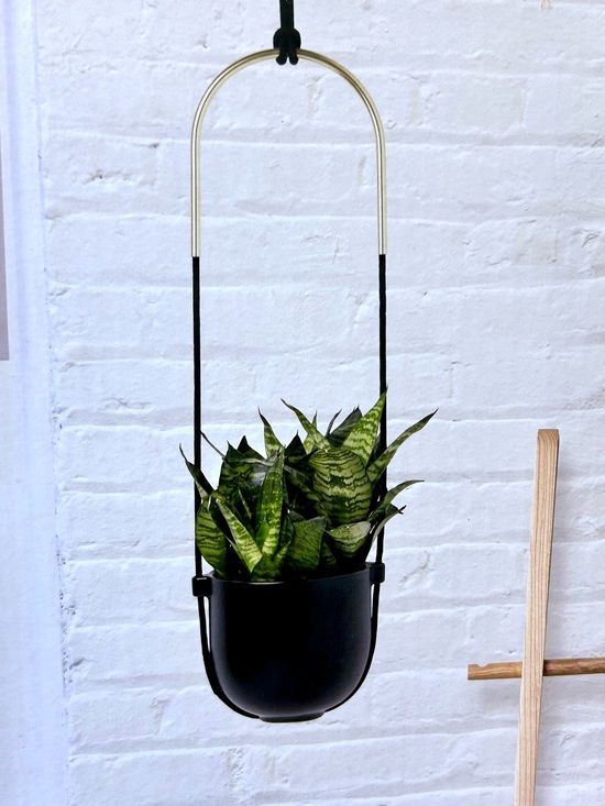 Umbra Other - Umbra Planter - Bolo Single Hanging Planter — Black | NEW IN BOX - NWT